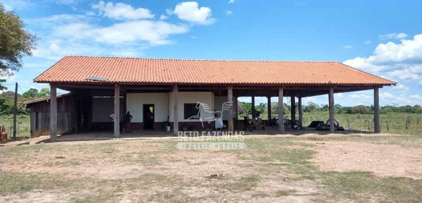 Fazenda à Venda 2.508 hectares Pecuária e Potencial p/ Mineração | Pedra Petra / MT