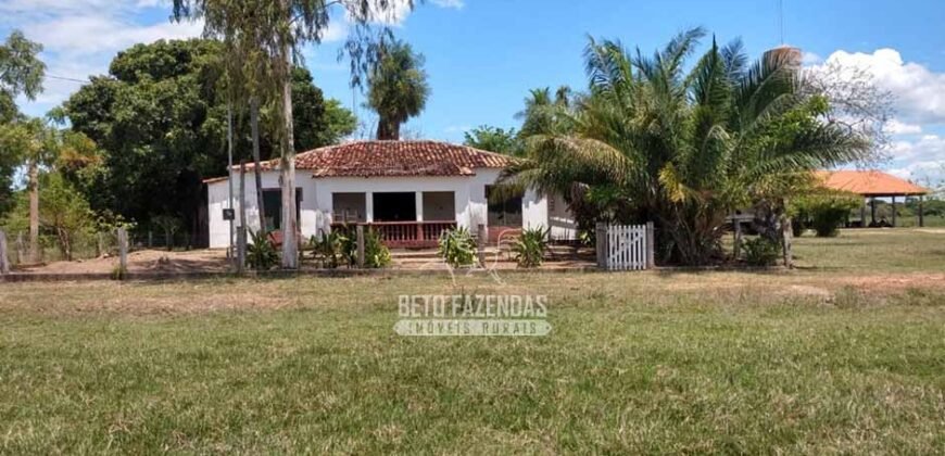 Fazenda à Venda 2.508 hectares Pecuária e Potencial p/ Mineração | Pedra Petra / MT
