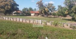 Fazenda à Venda 2.508 hectares Pecuária e Potencial p/ Mineração | Pedra Petra / MT