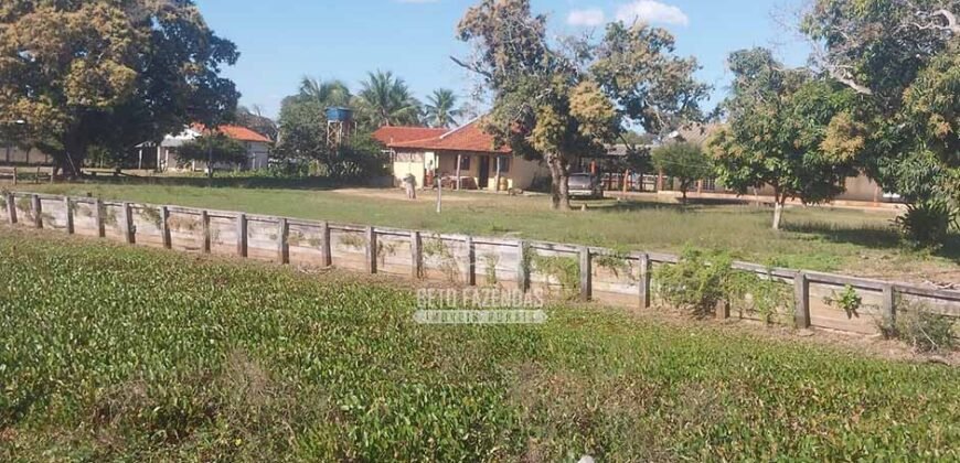 Fazenda à Venda 2.508 hectares Pecuária e Potencial p/ Mineração | Pedra Petra / MT
