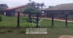 Fazenda à Venda 2.508 hectares Pecuária e Potencial p/ Mineração | Pedra Petra / MT