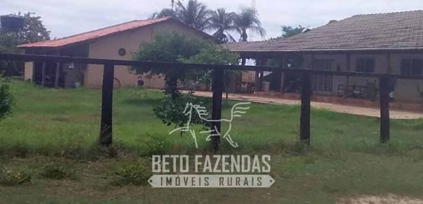 Fazenda à Venda 2.508 hectares Pecuária e Potencial p/ Mineração | Pedra Petra / MT