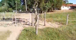Fazenda à Venda 2.434 Hectares Estrutura Completa Pecuária e Lazer | Batayporã/ MT