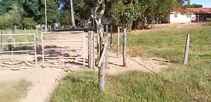 Fazenda à Venda 2.434 Hectares Estrutura Completa Pecuária e Lazer | Batayporã/ MT