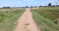 Fazenda à Venda 2.434 Hectares Estrutura Completa Pecuária e Lazer | Batayporã/ MT