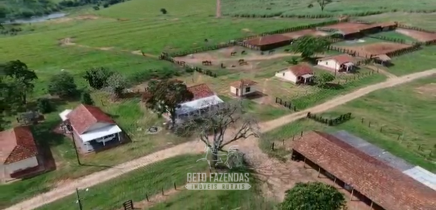 Fazenda à Venda 1.865 Hectares Completa para Pecuária | Maria Helena/ PR