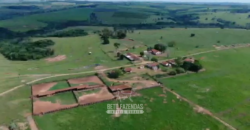 Fazenda à Venda 1.865 Hectares Completa para Pecuária | Maria Helena/ PR