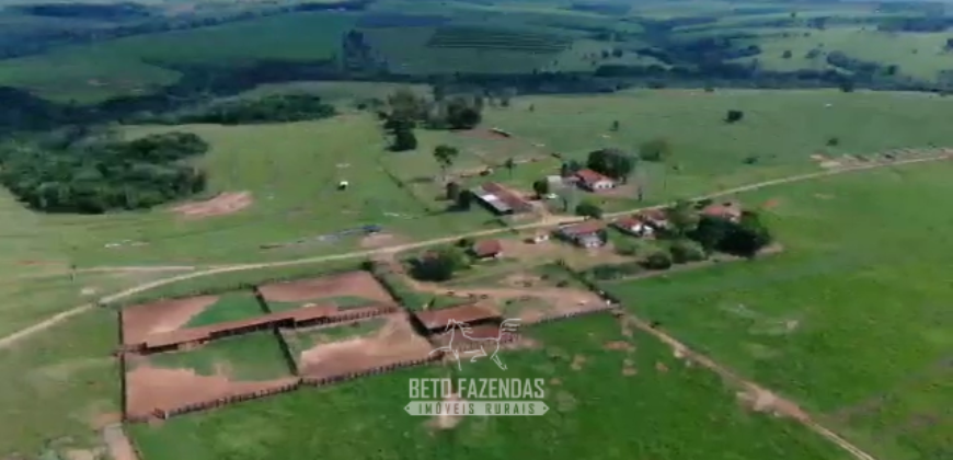 Fazenda à Venda 1.865 Hectares Completa para Pecuária | Maria Helena/ PR