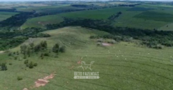 Fazenda à Venda 1.865 Hectares Completa para Pecuária | Maria Helena/ PR