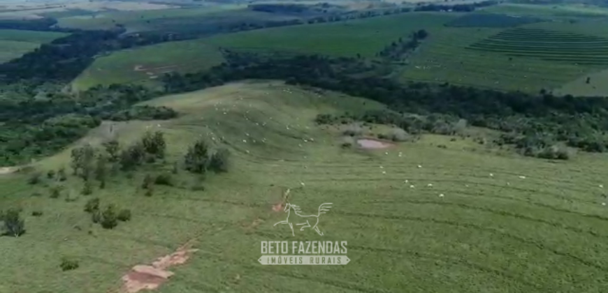 Fazenda à Venda 1.865 Hectares Completa para Pecuária | Maria Helena/ PR