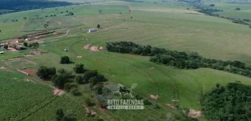 Fazenda à Venda 1.865 Hectares Completa para Pecuária | Maria Helena/ PR