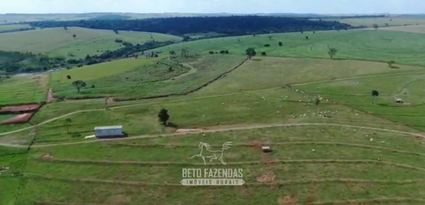 Fazenda à Venda 1.865 Hectares Completa para Pecuária | Maria Helena/ PR