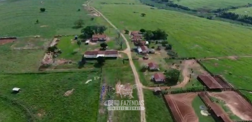 Fazenda à Venda 1.865 Hectares Completa para Pecuária | Maria Helena/ PR