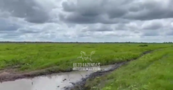 Fazenda à Venda 2.508 hectares Pecuária e Potencial p/ Mineração | Pedra Petra / MT
