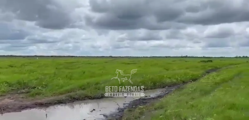 Fazenda à Venda 2.508 hectares Pecuária e Potencial p/ Mineração | Pedra Petra / MT