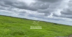 Fazenda à Venda 2.508 hectares Pecuária e Potencial p/ Mineração | Pedra Petra / MT