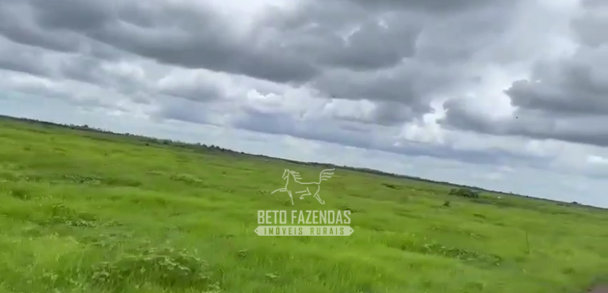 Fazenda à Venda 2.508 hectares Pecuária e Potencial p/ Mineração | Pedra Petra / MT