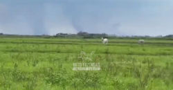 Fazenda à Venda 2.508 hectares Pecuária e Potencial p/ Mineração | Pedra Petra / MT