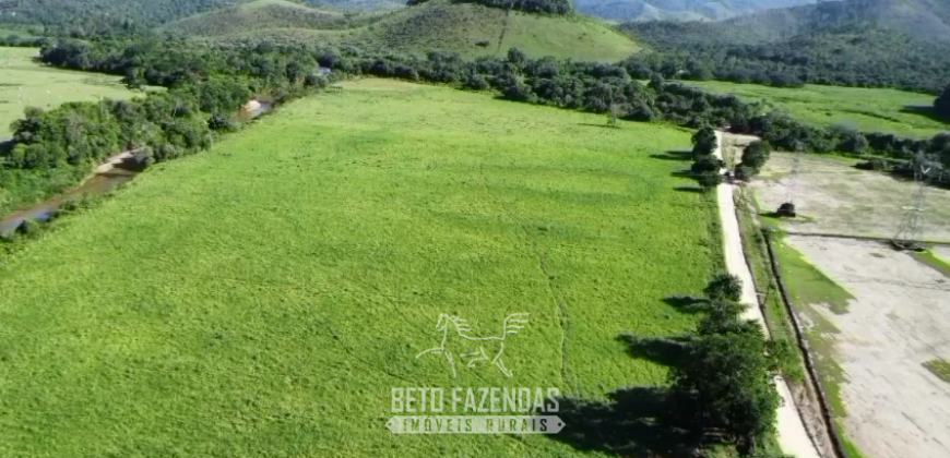Fazennda à Venda 47 Alqueires Infraestrutura completa p/ Pecuria | Silva Jardim/ RJ