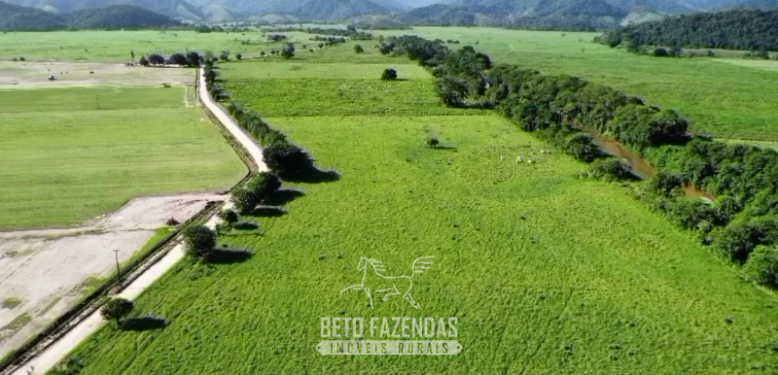Fazennda à Venda 47 Alqueires Infraestrutura completa p/ Pecuria | Silva Jardim/ RJ
