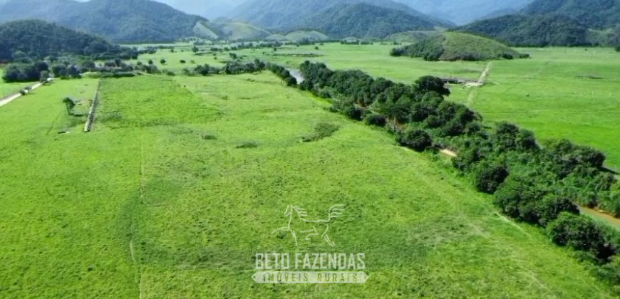 Fazennda à Venda 47 Alqueires Infraestrutura completa p/ Pecuria | Silva Jardim/ RJ