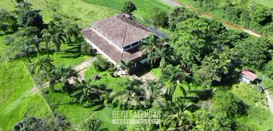 Fazennda à Venda 47 Alqueires Infraestrutura completa p/ Pecuria | Silva Jardim/ RJ