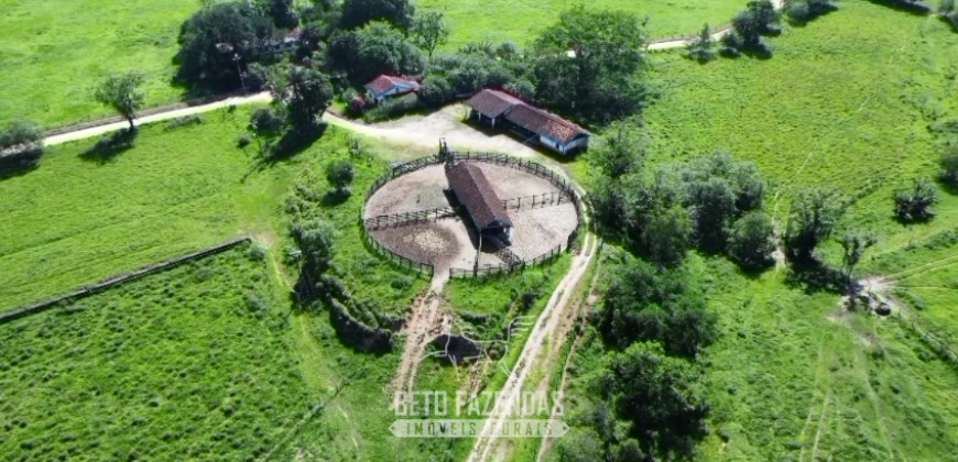 Fazennda à Venda 47 Alqueires Infraestrutura completa p/ Pecuria | Silva Jardim/ RJ