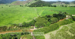 Fazennda à Venda 47 Alqueires Infraestrutura completa p/ Pecuria | Silva Jardim/ RJ
