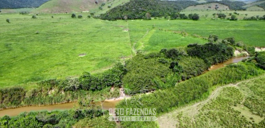 Fazennda à Venda 47 Alqueires Infraestrutura completa p/ Pecuria | Silva Jardim/ RJ