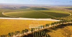 Fazenda à Venda 1.400 Hectares Estrutura Agroindustrial Pronta | Taiobeiras/MG