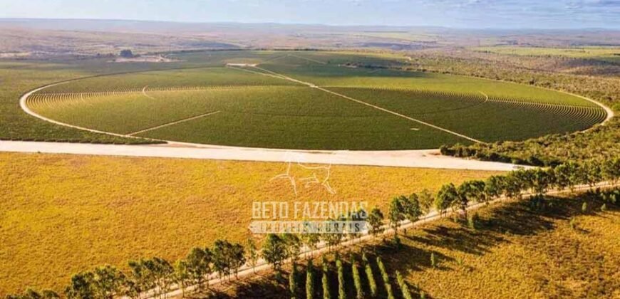 Fazenda à Venda 1.400 Hectares Estrutura Agroindustrial Pronta | Taiobeiras/MG