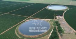 Fazenda à Venda 1.400 Hectares Estrutura Agroindustrial Pronta | Taiobeiras/MG