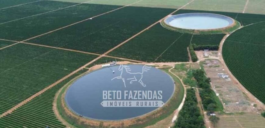 Fazenda à Venda 1.400 Hectares Estrutura Agroindustrial Pronta | Taiobeiras/MG