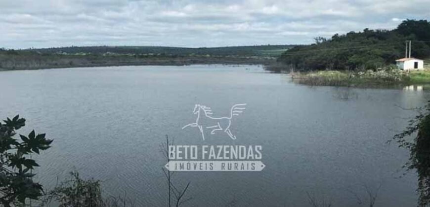 Fazenda à Venda 1.400 Hectares Estrutura Agroindustrial Pronta | Taiobeiras/MG