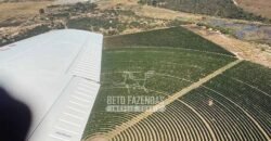 Fazenda à Venda 1.400 Hectares Estrutura Agroindustrial Pronta | Taiobeiras/MG