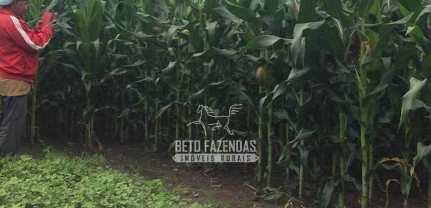 Fazenda à Venda 1.400 Hectares Estrutura Agroindustrial Pronta | Taiobeiras/MG
