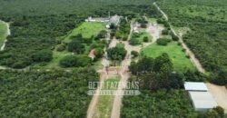 Fazenda à Venda 1.400 Hectares Estrutura Agroindustrial Pronta | Taiobeiras/MG