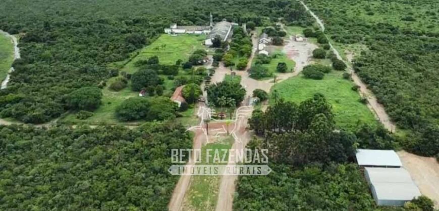 Fazenda à Venda 1.400 Hectares Estrutura Agroindustrial Pronta | Taiobeiras/MG