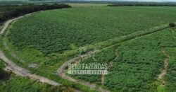 Fazenda à Venda 1.400 Hectares Estrutura Agroindustrial Pronta | Taiobeiras/MG
