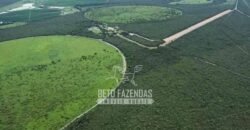 Fazenda à Venda 1.400 Hectares Estrutura Agroindustrial Pronta | Taiobeiras/MG