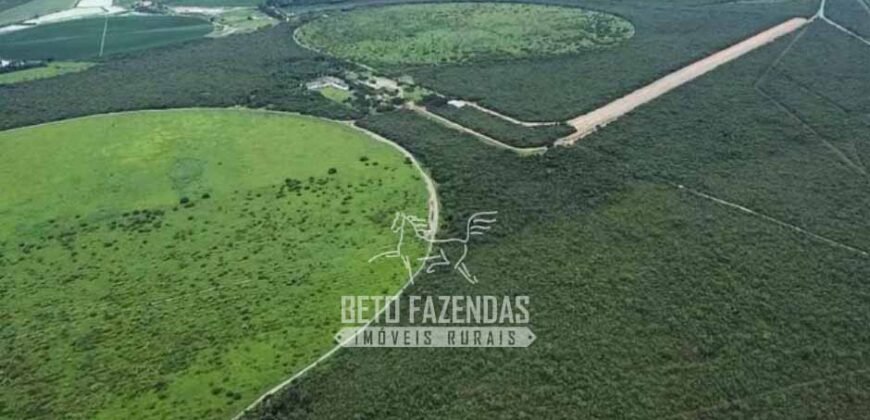 Fazenda à Venda 1.400 Hectares Estrutura Agroindustrial Pronta | Taiobeiras/MG