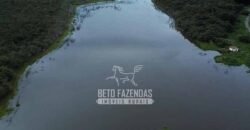 Fazenda à Venda 1.400 Hectares Estrutura Agroindustrial Pronta | Taiobeiras/MG