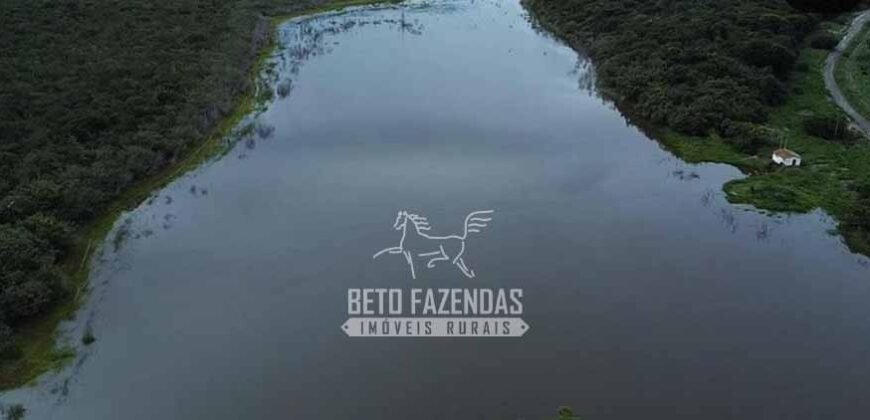 Fazenda à Venda 1.400 Hectares Estrutura Agroindustrial Pronta | Taiobeiras/MG