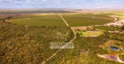 Fazenda à Venda 1.400 Hectares Estrutura Agroindustrial Pronta | Taiobeiras/MG