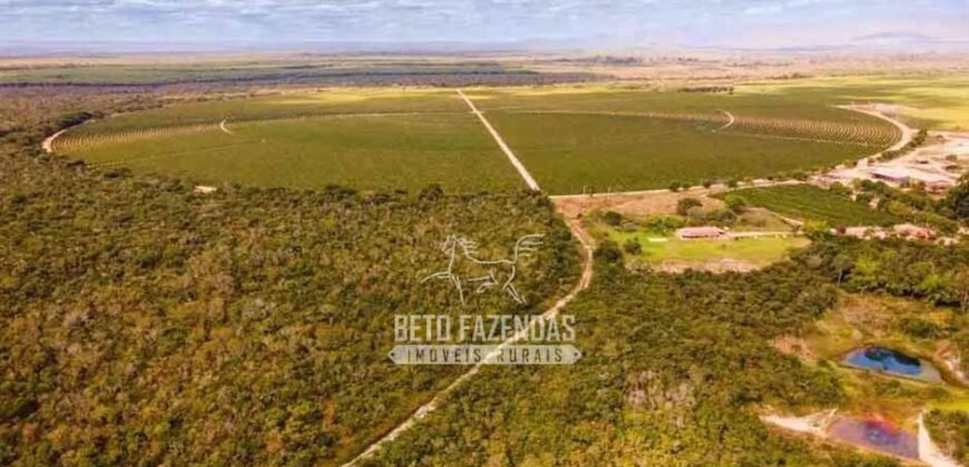 Fazenda à Venda 1.400 Hectares Estrutura Agroindustrial Pronta | Taiobeiras/MG