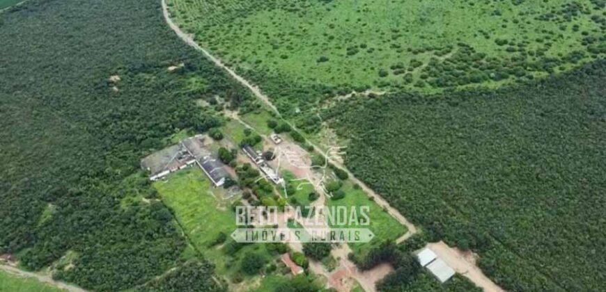 Fazenda à Venda 1.400 Hectares Estrutura Agroindustrial Pronta | Taiobeiras/MG