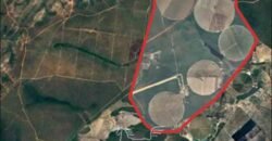 Fazenda à Venda 1.400 Hectares Estrutura Agroindustrial Pronta | Taiobeiras/MG