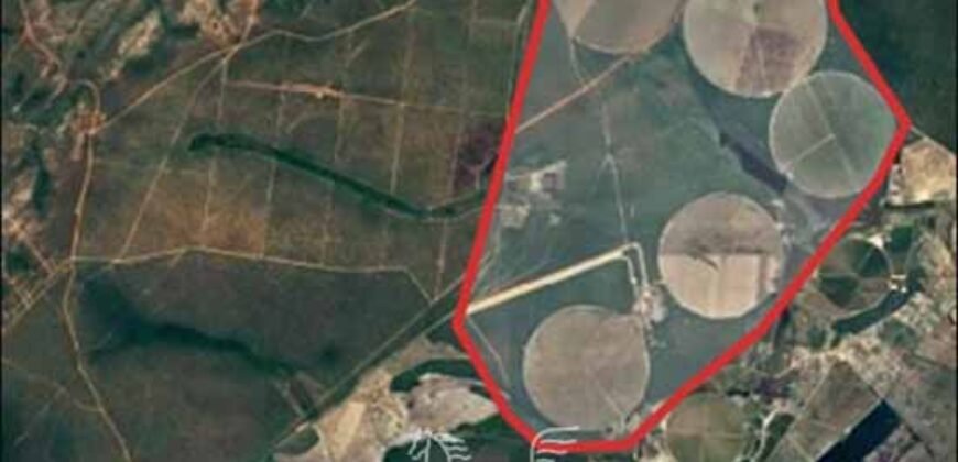 Fazenda à Venda 1.400 Hectares Estrutura Agroindustrial Pronta | Taiobeiras/MG