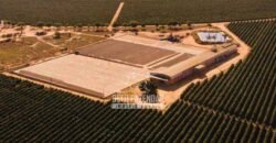 Fazenda à Venda 1.400 Hectares Estrutura Agroindustrial Pronta | Taiobeiras/MG