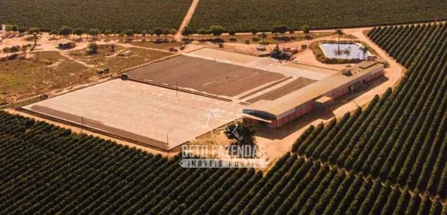 Fazenda à Venda 1.400 Hectares Estrutura Agroindustrial Pronta | Taiobeiras/MG